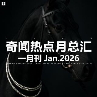 三好晚报 - 奇闻热点月总汇（26.一月刊）上