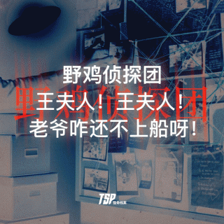 野鸡侦探团：王夫人！王夫人！老爷咋还不上船呀！