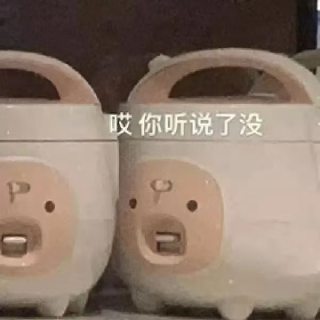 2025年内娱演技大盘点：一年一度从夯到拉大赏