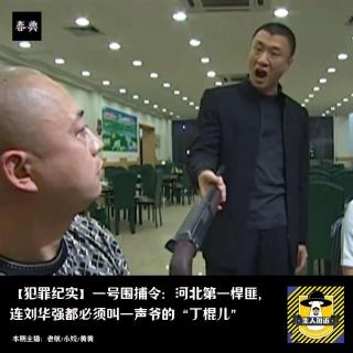 河北第一悍匪：丁棍儿（2）连刘华强都必须叫一声爷丨犯罪纪实