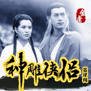 【细读神雕4】开刀——小龙女失身误会重重 落红尘爱人分付西东