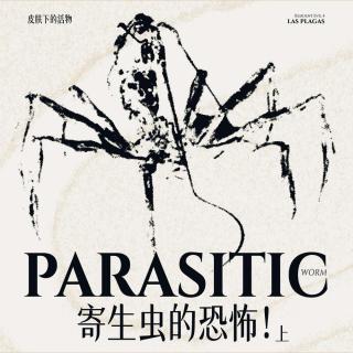 【重口预警】从寄生虫出发，听螳螂老师讲讲那些喜欢钻入身体里的不速之客（上）