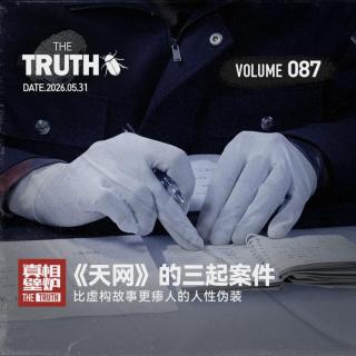 87 比虚构故事更瘆人的人性伪装，《天网》三起案件。