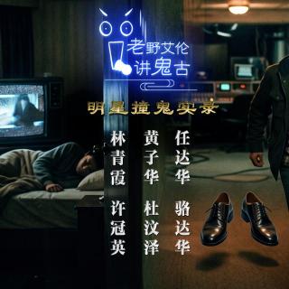 粤语鬼故 明星撞鬼实录 黄子华 林青霞 任达华 许冠英 杜汶泽 骆达华