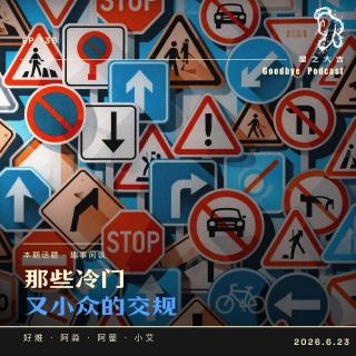 137.绿灯也能闯？那些冷门小众的交规「播客会客厅」
