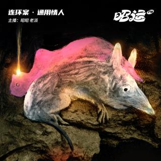 206·【案63】通用情人：铁岭分尸案