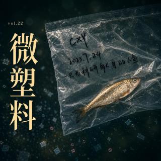 22.逃不掉的塑料人：去户外也没用？